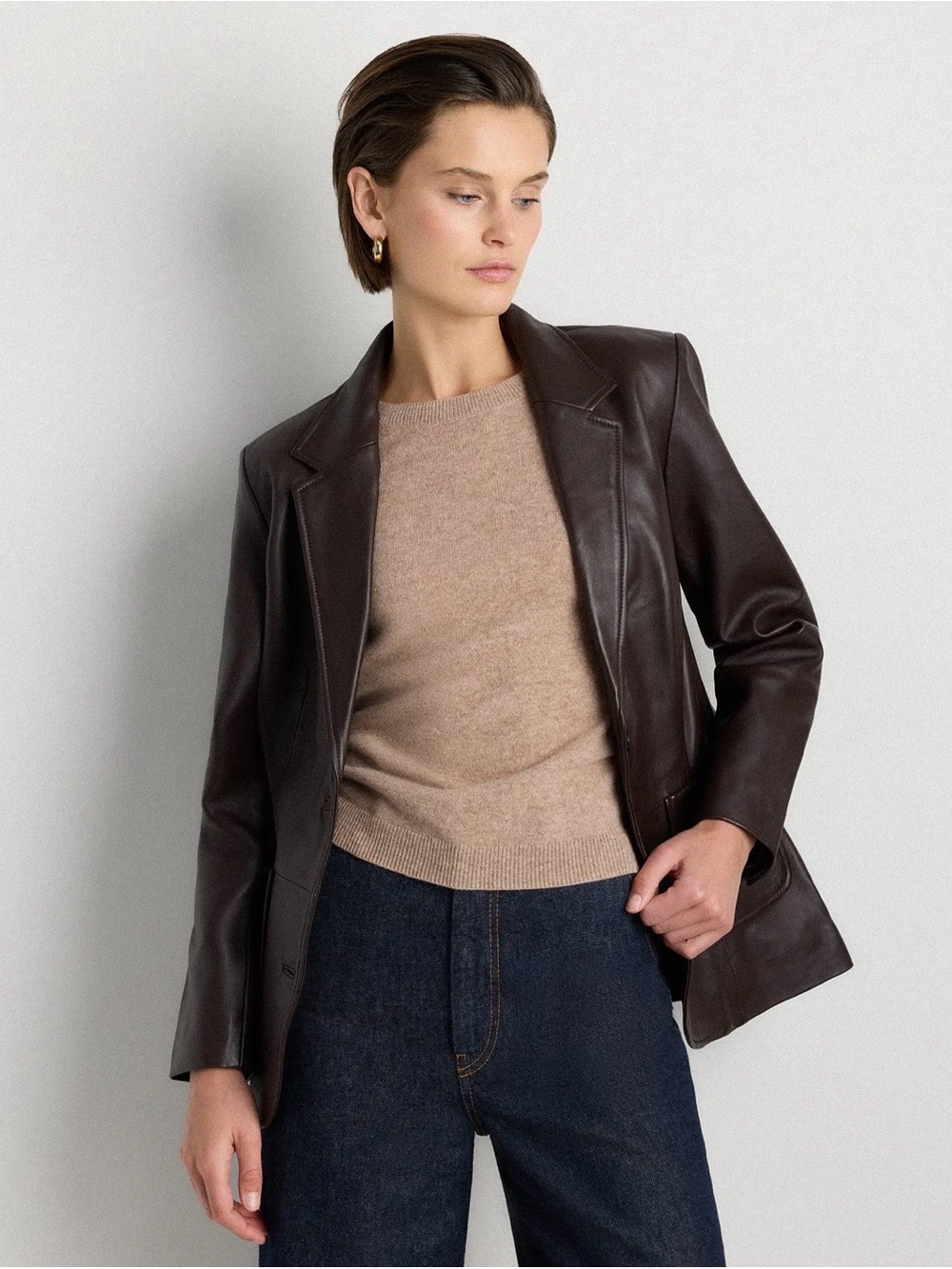 Quince 100% Leather Blazer